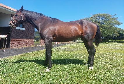 Ŀ���� ����