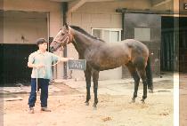 ����� (SA RANG HAE) ����