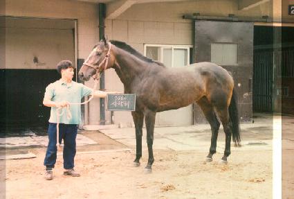 ����� ����