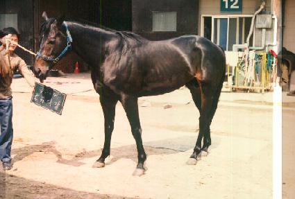 �������� ����