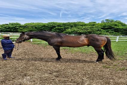 ���ø��ͽ������� ����