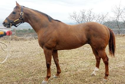 �����κ��� ����