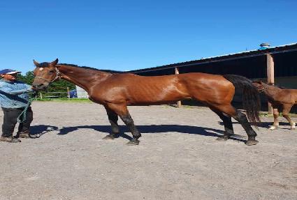 �ƽ�Ʈ������� ����