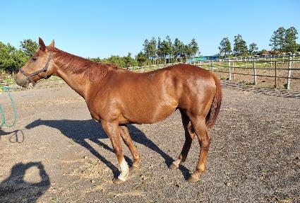 ��Ʈ��Ʈ����� ����