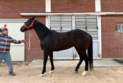 ���̿��� ����