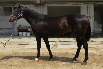 �̽����� ����