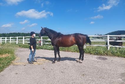 ���Ƴʾص弭�� ����