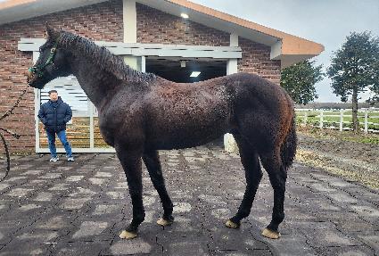 ���̿������̽� ����