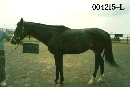 ����ũ������ ����