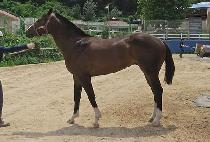 ������½ (SEO E BEONJJEOK) ����