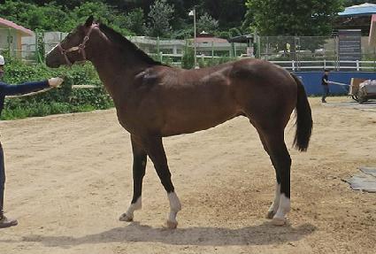 ������½ ����