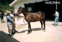 ǲ�տ� (PUT IT ON) ����