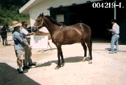 ǲ�տ� ����