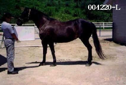 ������̽� ����