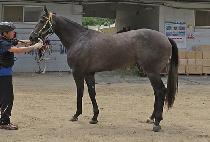 ��Ͳ� (SOEWAKKOT) ����