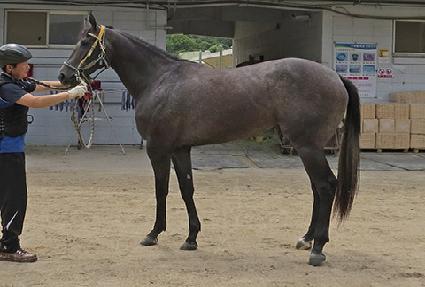 ��Ͳ� ����