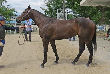 ��������� ����