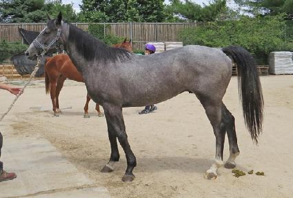 ��ī�̸�ġ ����