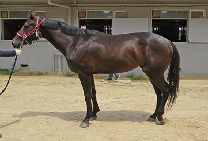 ��Ÿ�����̵� ����