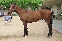 ��´���� (RAON THE BIGBANG) ����