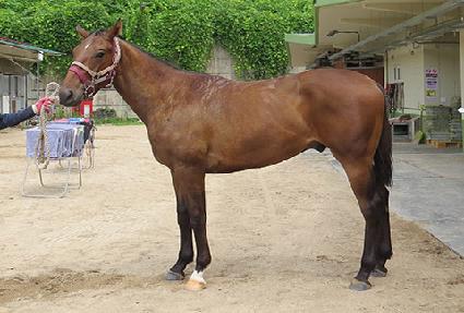 ��´���� ����