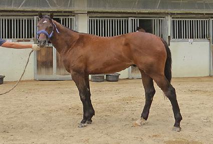 ��´������� ����