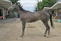 �ְ���õ (CHOEGANGYEONGCHEON) ����