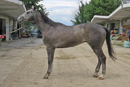 �ְ���õ ����