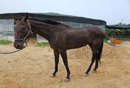 �Ƹ�Ų ����