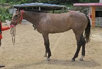 �ݼ��м� (GEUMSEONG FASHION) ����