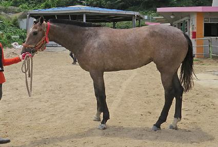 �ݼ��м� ����