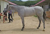 ��� (BAEKRANG) ����