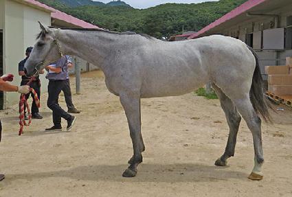 ��� ����