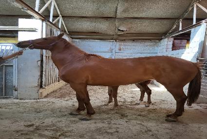 �������� ����