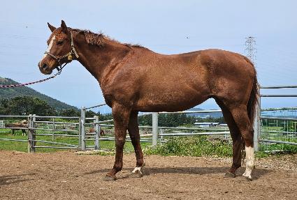 ��������Űư ����