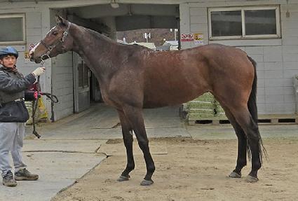 ���̿�����Ʈ ����