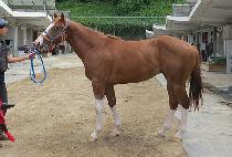 ����Ǯ���� (WONDERFUL K) ����