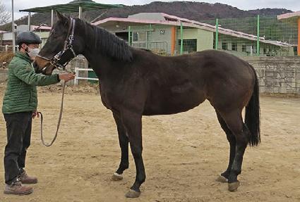 ������� ����