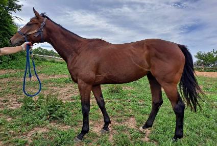 �������� ����