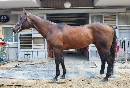 �� ����