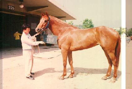 ������ ����