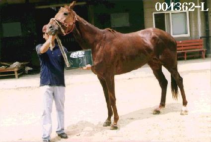 �ְ� ����