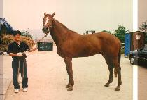 ���� (CHAN MI) ����