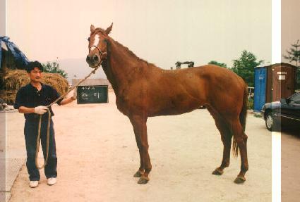 ���� ����