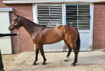 ���θǽ� ����