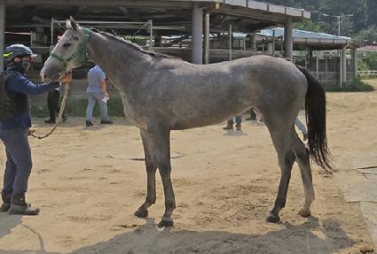 ���ǲ� ����