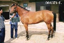 ���� (YEOL JEONG) ����