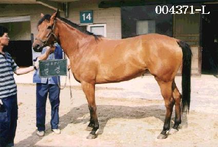 ���� ����