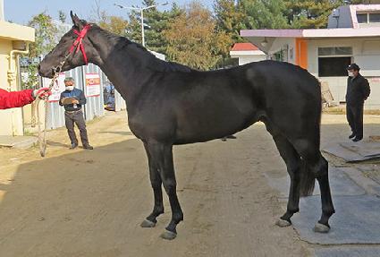 �������� ����