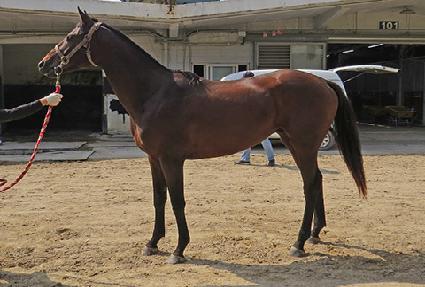 ��缱�� ����